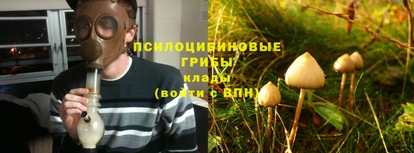 ALPHA-PVP Каменка