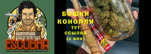 эйфоретик Каменногорск