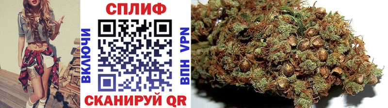 Бошки Шишки LSD WEED  Купить закладки  Сосновый Бор 